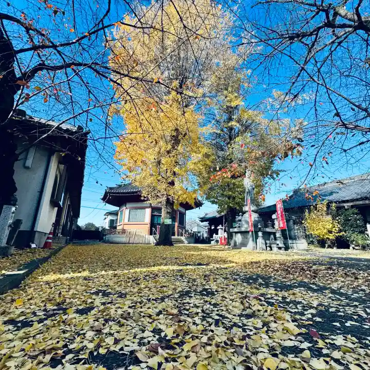 新光寺(埼玉県)
