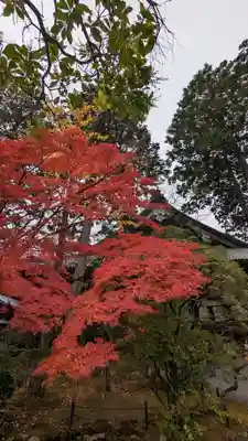 真正極楽寺(真如堂)(京都府)
