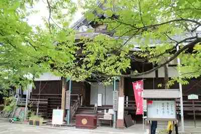 村雲御所瑞龍寺門跡の本殿・本堂