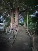 愛宕神社の{uncategorized: "未分類", other: "その他", undefined: "問題あり", building: "その他建物", grave: "お墓", sacred_gate: "鳥居", guardian: "狛犬", statue: "像", buddha: "仏像", history: "歴史", nature: "自然", garden: "庭園", animal: "動物", pagoda: "塔", temizu: "手水舎", mountain_gate: "山門・神門", sanctuary: "本殿・本堂", subordinate: "末社・摂社", art: "芸術", scenery: "景色", jizo: "地蔵", ema: "絵馬", goshuin: "御朱印", omikuji: "おみくじ", items: "授与品その他", amulet: "お守り", goshuincho: "御朱印帳", eats: "食事", festival: "お祭り", votive_dance: "神楽", shichigosan: "七五三参", wedding: "結婚式", experience: "体験その他", initially: "初詣", around: "周辺", anti_infection: "感染症対策"}