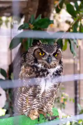 宮地嶽神社(福岡県)