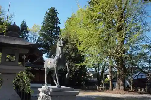 加賀神明宮の狛犬