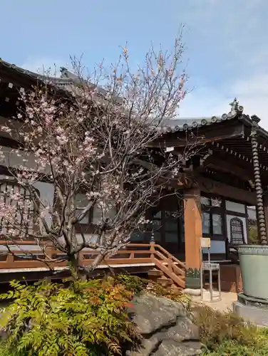 養源寺(東京都)