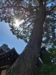 猿田彦神社(東京都)