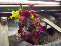 東大島神社(東京都)