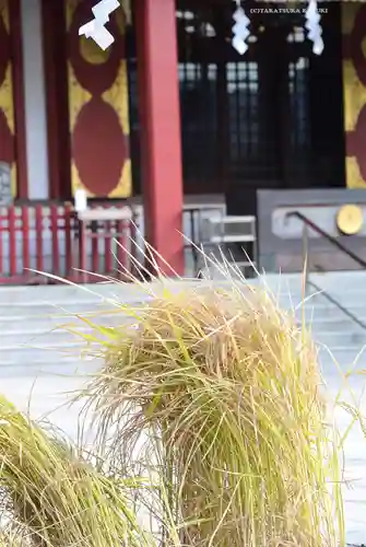 東京羽田 穴守稲荷神社(東京都)