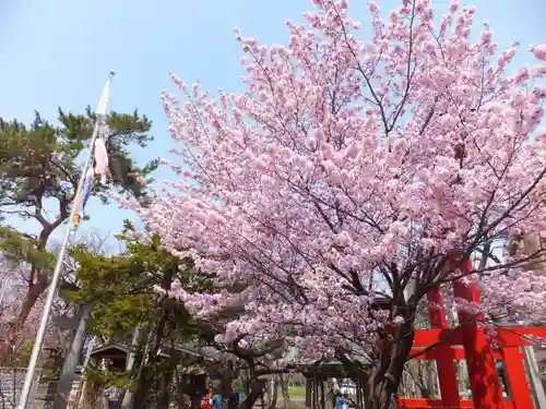 彌彦神社　(伊夜日子神社)の自然