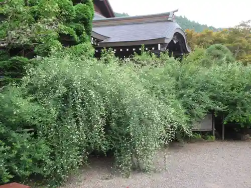 大悲願寺のその他建物
