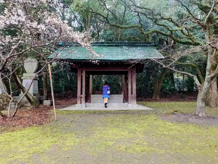 乃木神社の手水舎
