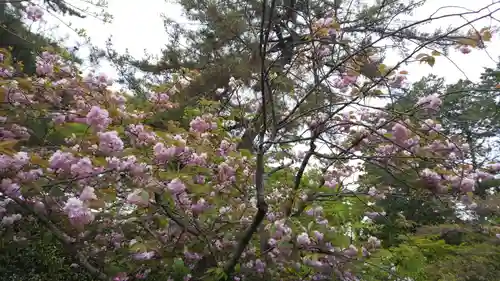 建部大社の自然