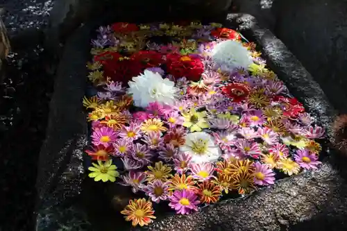 大鏑神社の手水