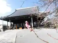 興正寺の本殿・本堂