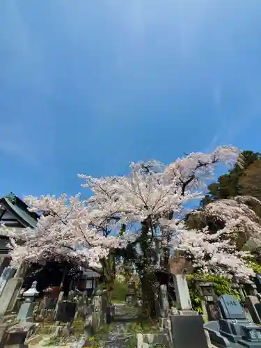 妙徳寺(福島県)
