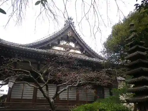 安國論寺（安国論寺）の本殿・本堂