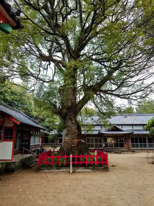 八幡奈多宮(大分県)