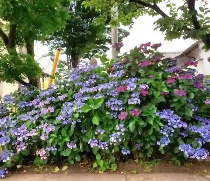 宝祥寺(東京都)
