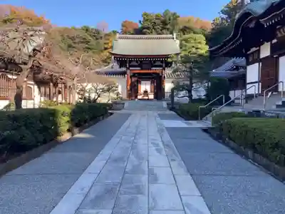 天嶽院(神奈川県)