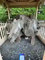 穴澤天神社の自然