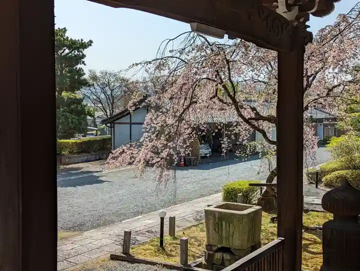 妙満寺(京都府)