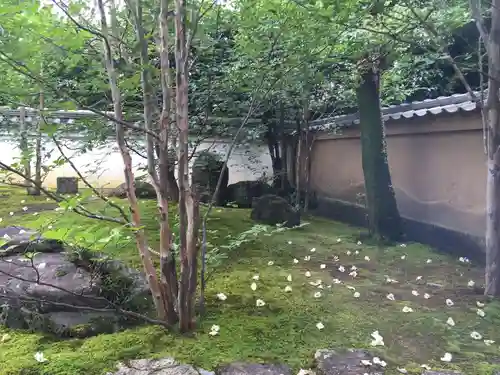 東林院の庭園