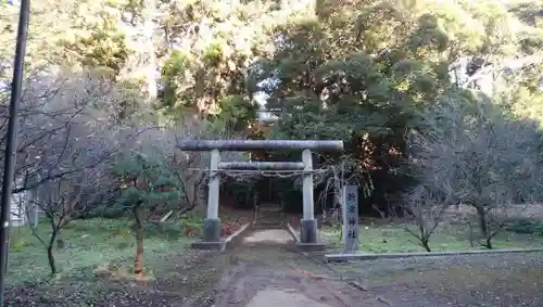 新宮神社の建物その他