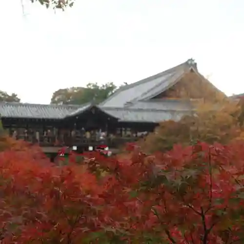 東福禅寺（東福寺）の自然