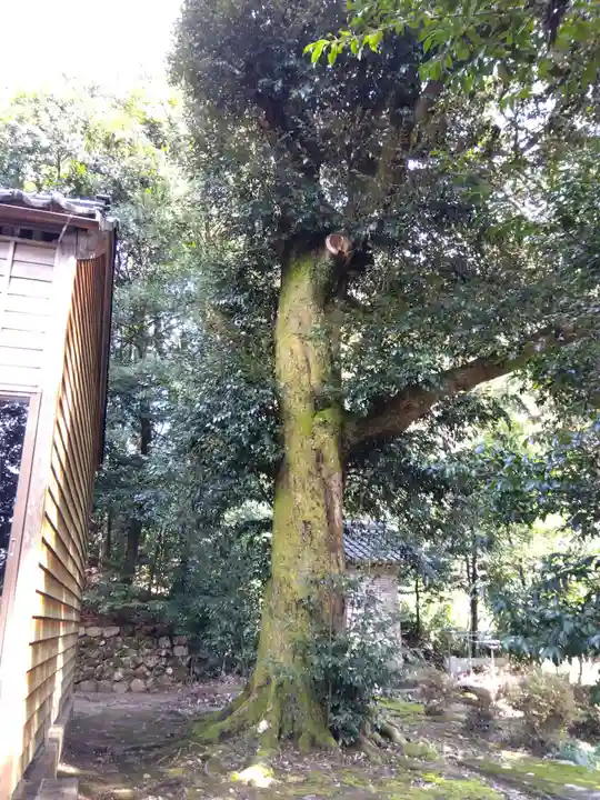 散田天神社(石川県)