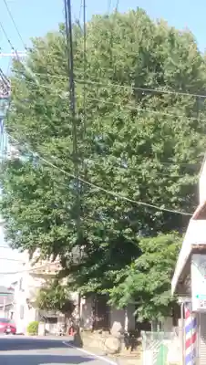 道祖神社の自然