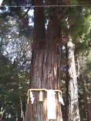 息栖神社(茨城県)