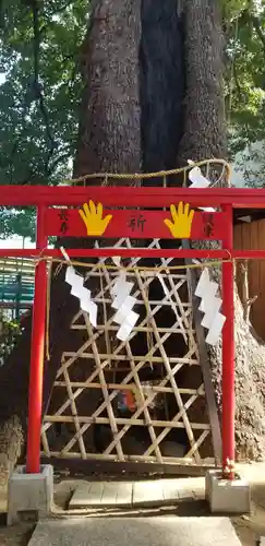 五方山熊野神社の自然