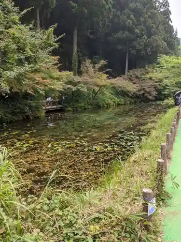 根道神社の庭園