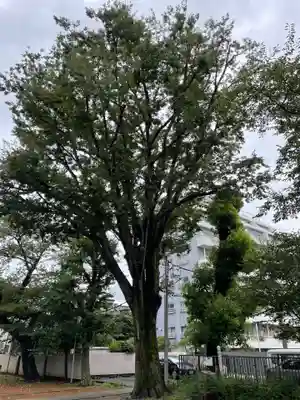天祖神社(東京都)