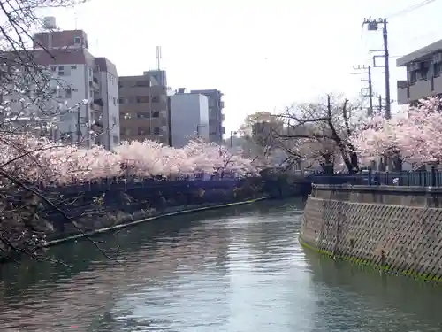 瑞延寺の御朱印