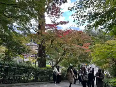 円覚寺(神奈川県)