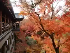 東福禅寺（東福寺）(京都府)