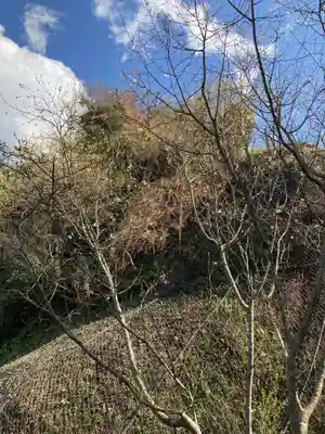 来迎寺（西御門）の周辺