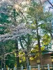 岡見八坂神社の自然