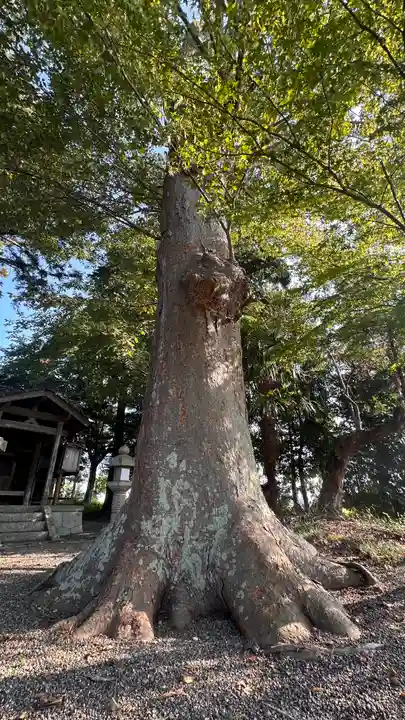 田中神社(滋賀県)