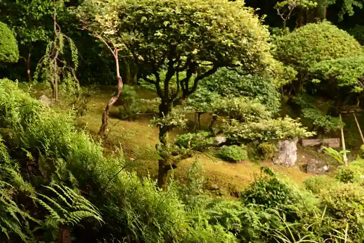 乘臺寺(高知県)