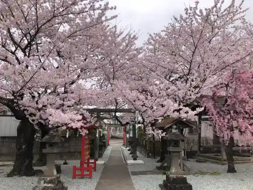 七郷神社の{uncategorized: "未分類", other: "その他", undefined: "問題あり", building: "その他建物", grave: "お墓", sacred_gate: "鳥居", guardian: "狛犬", statue: "像", buddha: "仏像", history: "歴史", nature: "自然", garden: "庭園", animal: "動物", pagoda: "塔", temizu: "手水舎", mountain_gate: "山門・神門", sanctuary: "本殿・本堂", subordinate: "末社・摂社", art: "芸術", scenery: "景色", jizo: "地蔵", ema: "絵馬", goshuin: "御朱印", omikuji: "おみくじ", items: "授与品その他", amulet: "お守り", goshuincho: "御朱印帳", eats: "食事", festival: "お祭り", votive_dance: "神楽", shichigosan: "七五三参", wedding: "結婚式", experience: "体験その他", initially: "初詣", around: "周辺", anti_infection: "感染症対策"}