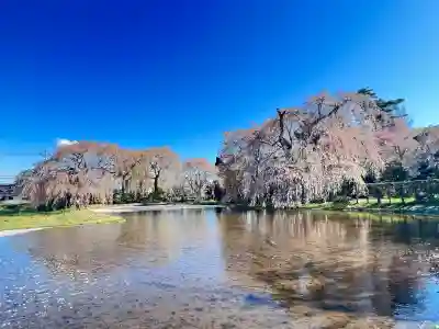 安養寺(長野県)