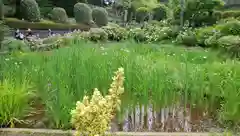 天台宗　長窪山　正覚寺の庭園