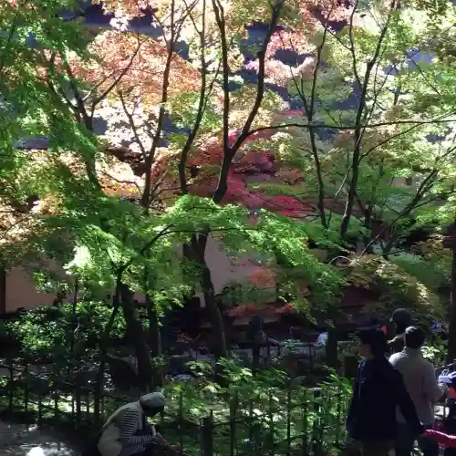 金剛輪寺(滋賀県)