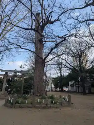 諏方神社(東京都)