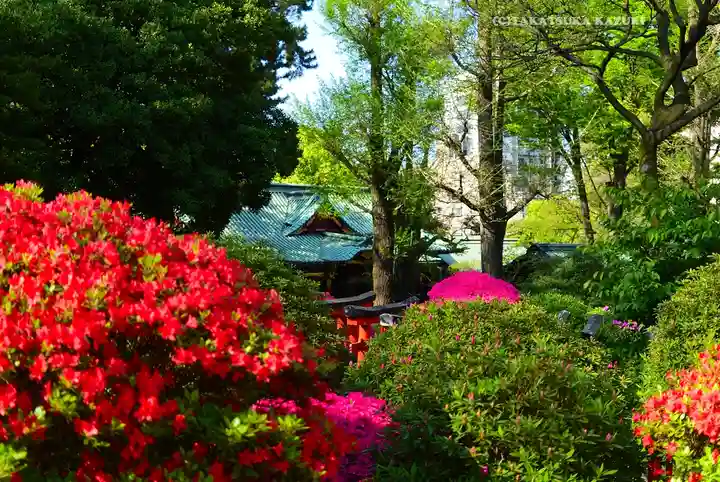 根津神社(東京都)