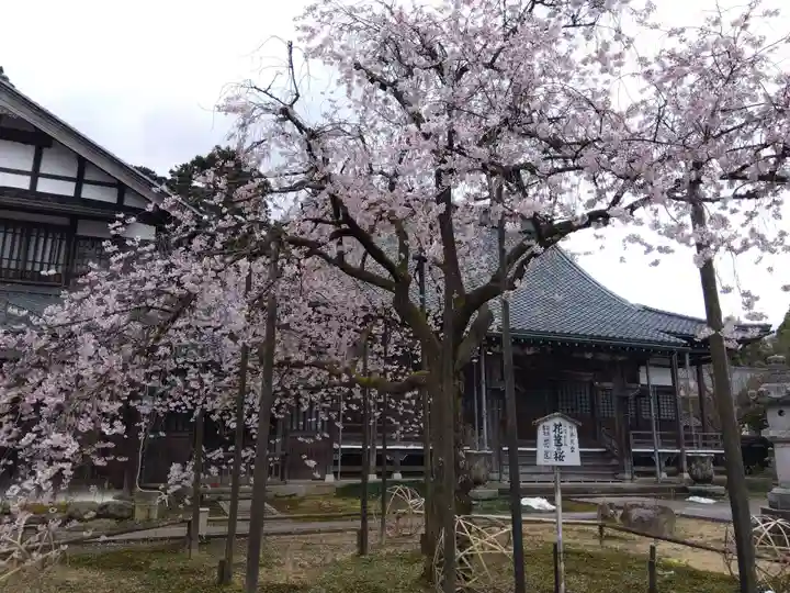 城福寺(福井県)