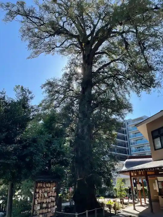 瀬戸神社(神奈川県)