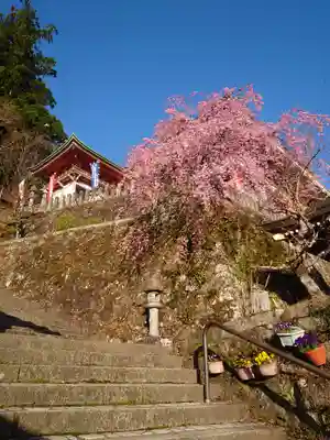 熊野那智大社の周辺