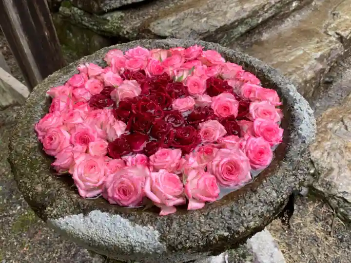 丹生都比売神社の手水舎