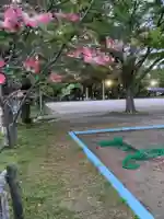 溝旗神社(肇國神社)の自然